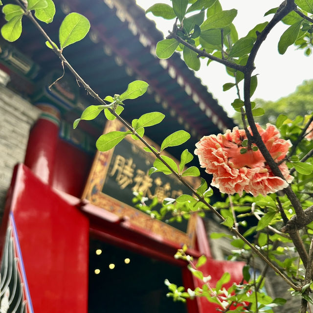 Bustling Xi’an 🏯🏮