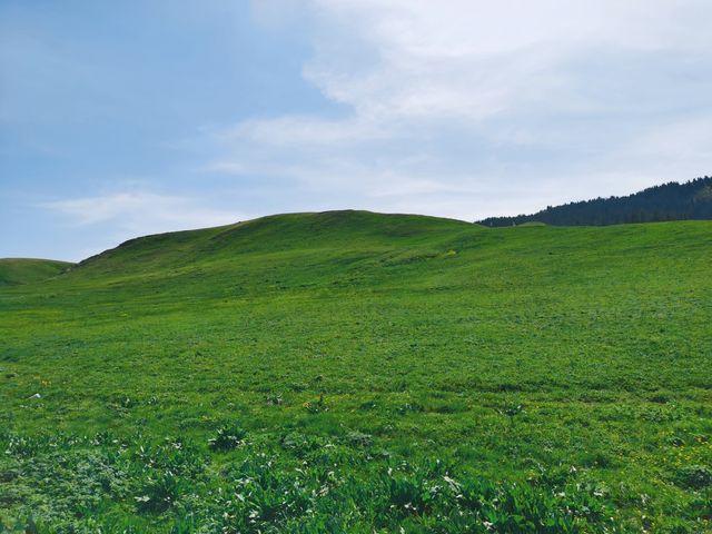 賽里木湖 | 大西洋最後一滴眼淚，美到失語