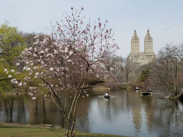 紐約好位置：希爾頓花園中央公園南-中城區西   酒店：希爾頓花園中央公園南-中城區西酒店   