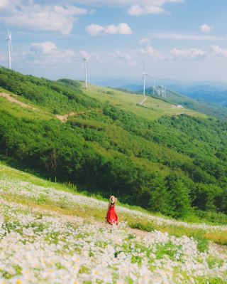 Pyeongchang Cheongdeoksan: Stumbling into a Daisy Snow Sea