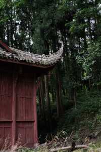 香積寺探幽 | 合谷山居專屬行山體驗