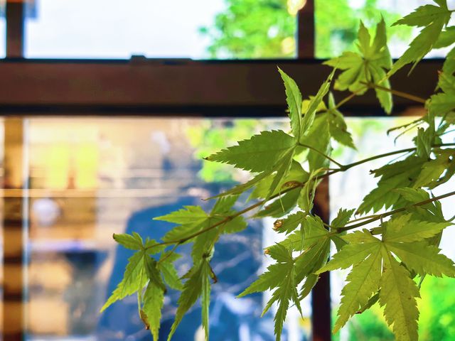景德鎮陶瓷睇到眼花繚亂，最後我喺呢間寶藏民宿搵到心頭好