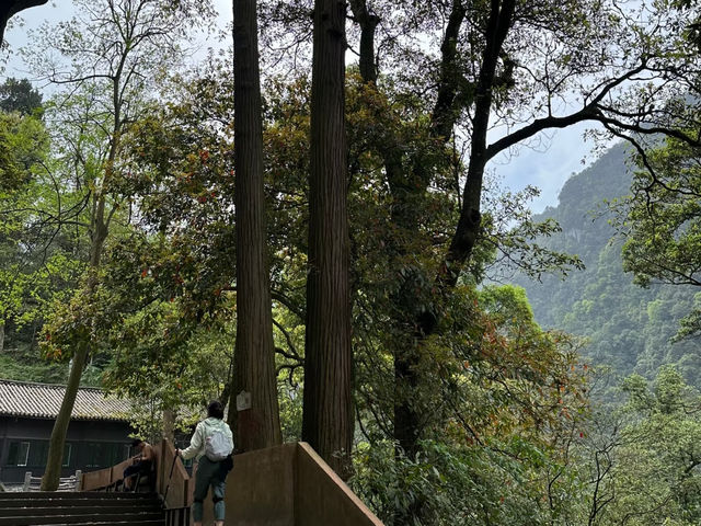 去咗3次峨眉山，終於玩到明晒。