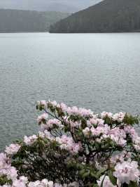 普達措國家公園—人生是曠野