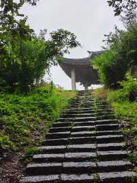 雨落金九道：苔痕石徑裡的中韓情誼與山野清歡