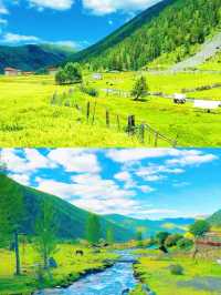 夏天嘅川西係用手機都影唔出嘅靚