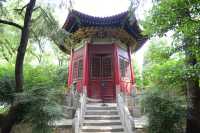 尋古探幽～西安碑林博物館（國家一級）