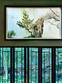 杭州の緑の宝石箱：杭州植物園で自然と出会う】**  