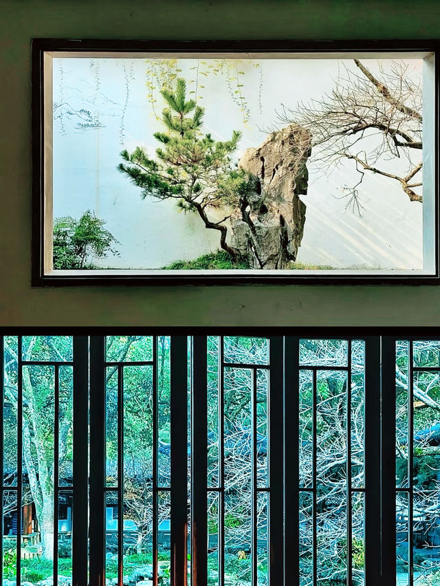杭州の緑の宝石箱：杭州植物園で自然と出会う】**  