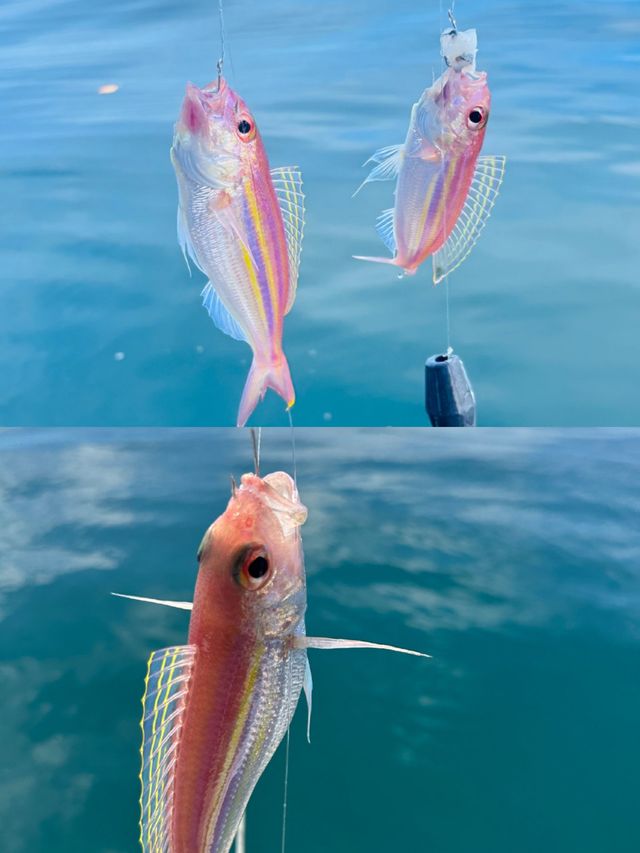 仙本那，浪漫天堂，安全又免簽