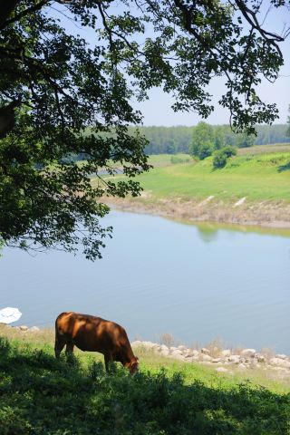 Speechlessly Beautiful Little Altay Just 2 Hours from Wuhan