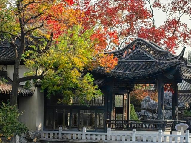 去咗4次沈坤狀元府，終於玩到明晒！