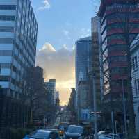 奧克蘭3日深度遊