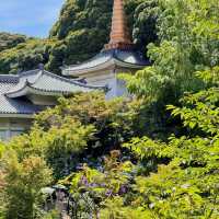 【東京周邊隱世賞花地！本土寺紫陽花美到似動畫場景！】