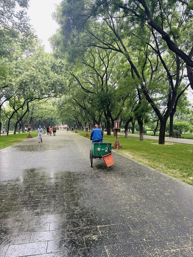 雨中天壇的詩意與夏日浪漫