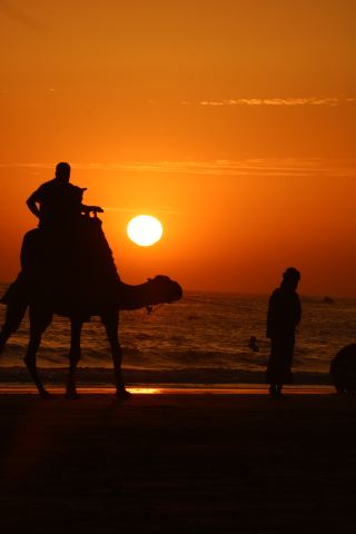 Flamenco's fiery passion, Sahara's starry skies, and maritime legends.
