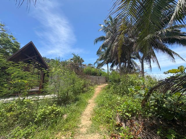 隱世秘境｜香水灣海上棧道打卡一流