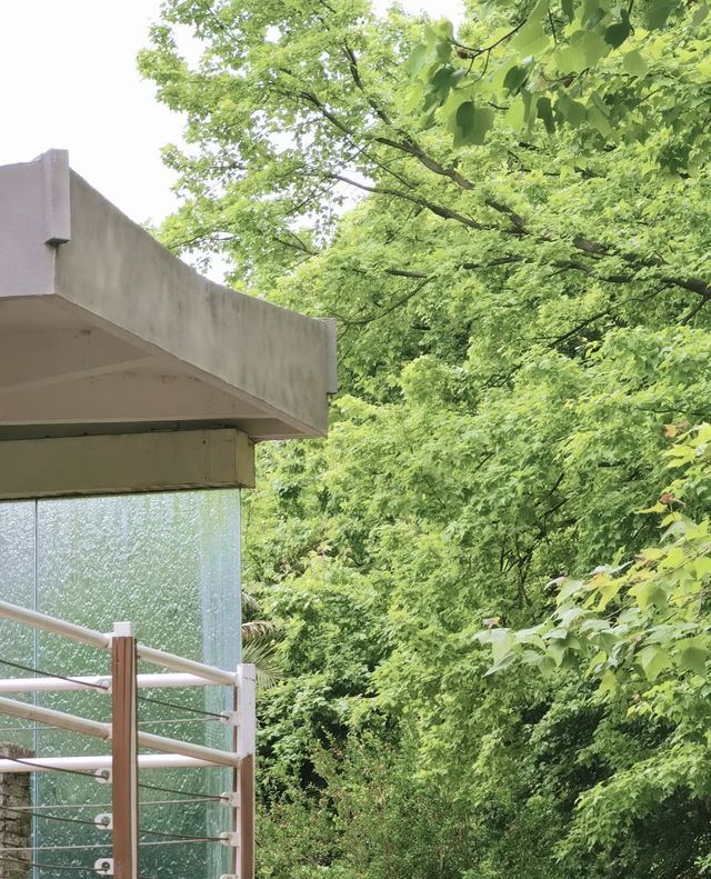 昆明植物園東園|闖入現實版綠野仙蹤！治癒系秘境大公開