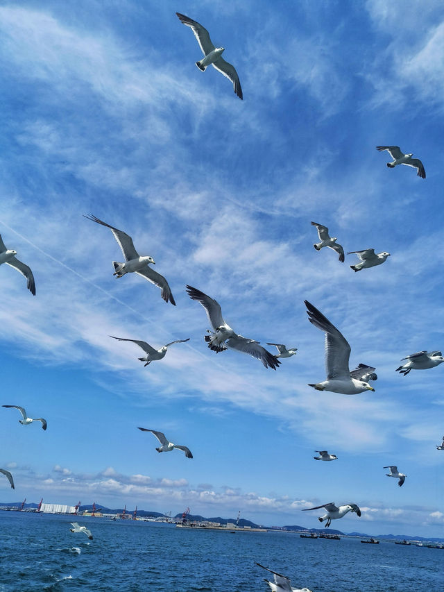 海島騎行治癒指南