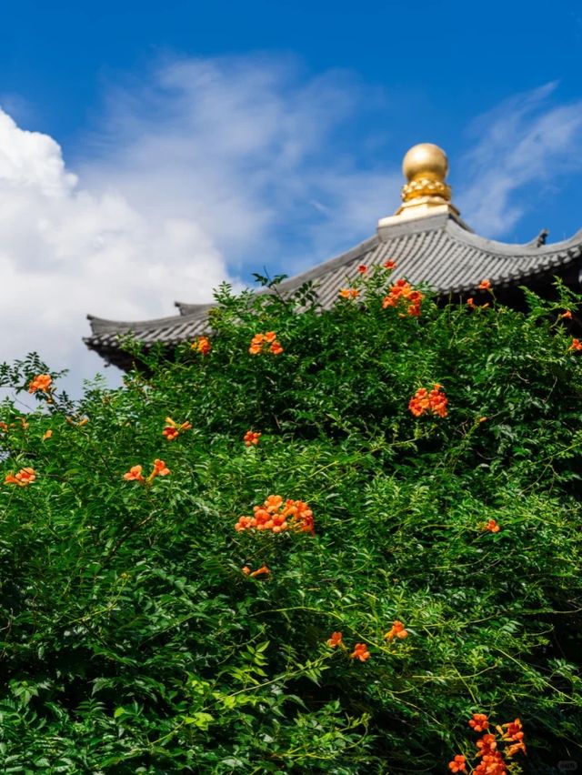 抓住夏天尾巴，與凌霄共赴水尚生活之約！