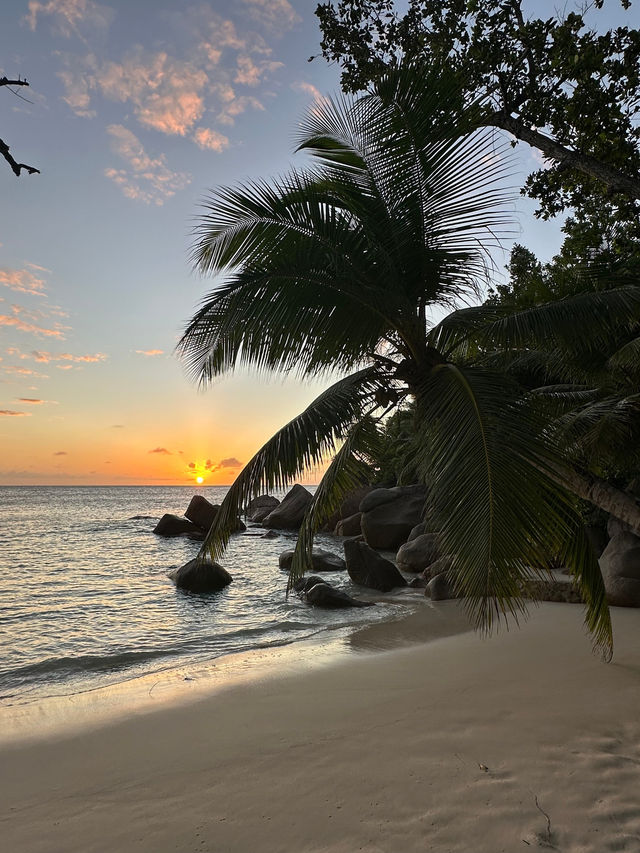 Incredible Hotel Experience on Praslin Island