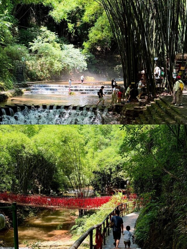 川西竹海｜成都1h直達的綠野仙蹤，沉浸式吸氧攻略 