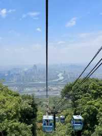 青山回響，鼓山的鐘聲與雲海