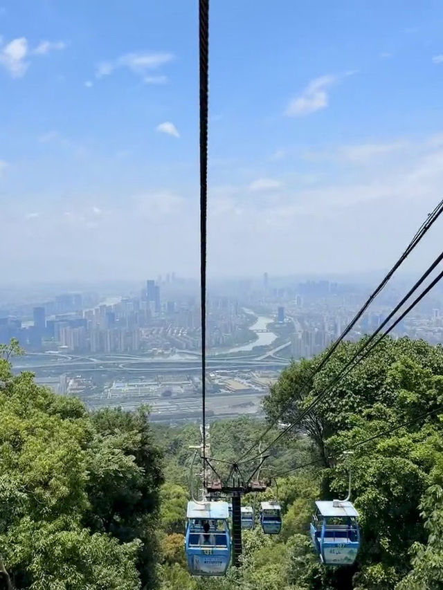 青山回響，鼓山的鐘聲與雲海