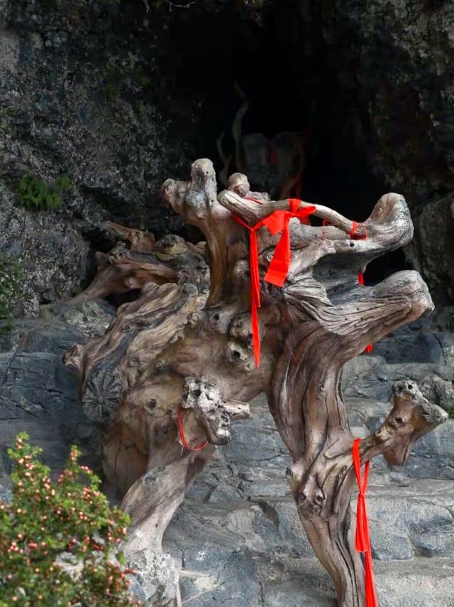 雲巔仙境漫步記