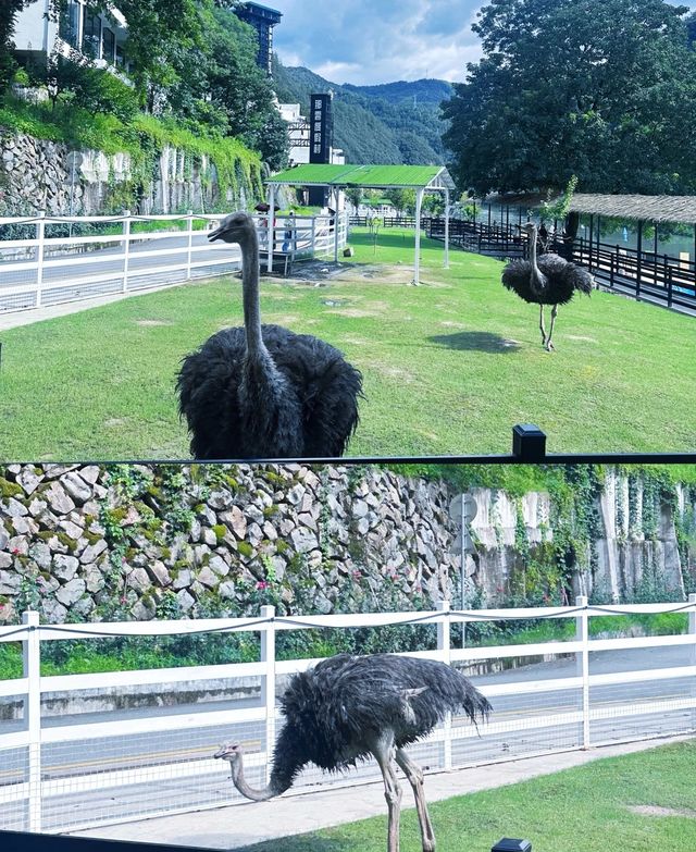 住麗水進畲鄉水畔懸崖之上的天空之城，不想退……