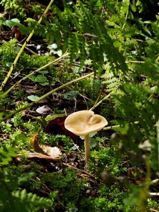 It's best to visit Tangwang River during the off-season to see various plants and animals