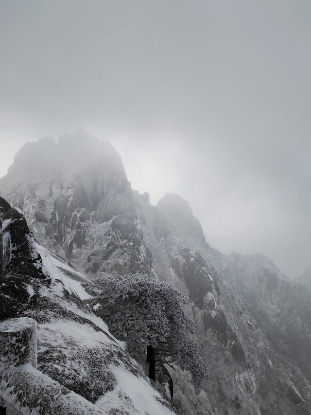黃山冬日仙境！保姆級雪景攻略+冷門機位大公開 杭州出發2h直達！黃山雪景封神了家人們！ 