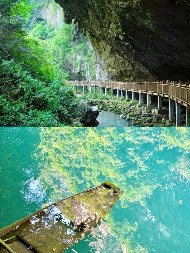 藏在深山裡的藍眼淚