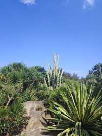 廈門園林博物園：探秘古典園林之美

廈門，這座美麗的海濱城市，不僅因其海灘、島嶼和美食而聞名於世，更