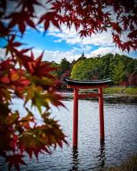 日本九州秘境｜宇佐神宮·三角池的千年神蹟