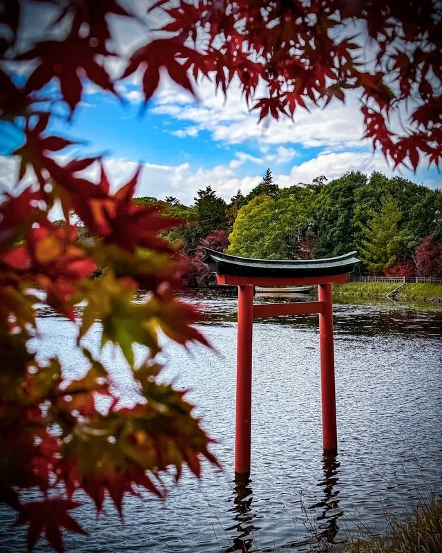 日本九州秘境｜宇佐神宮·三角池的千年神蹟