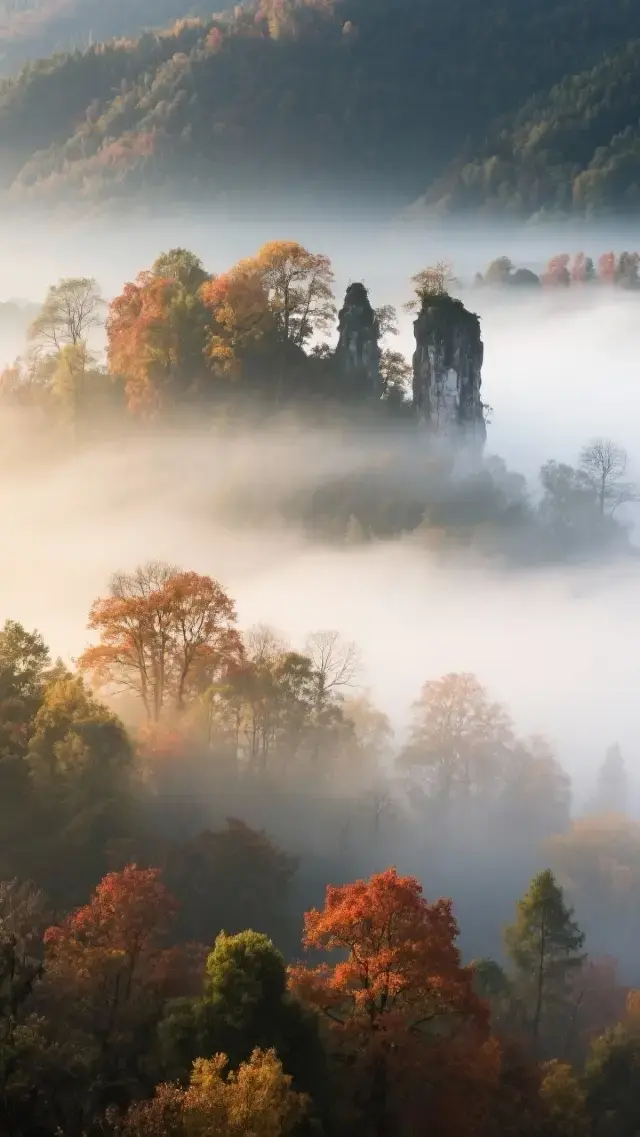 Wuyuan~Ink Painting March