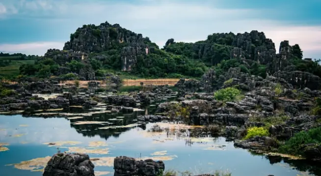 Stone Forest One-Day Tour Guide | Venture into the Karst "Stone Forest" for a Billion-Year Appointment
