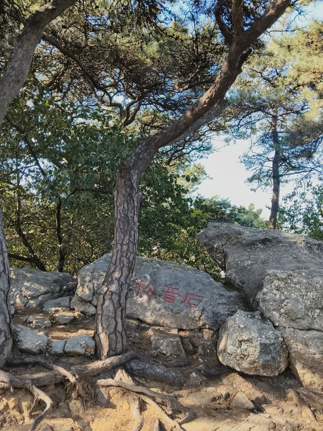 北戴河仙境暴走！500米登頂瞰海全景，劉莊夜市吃到撐！ 必去理由 山海畫卷！聯峰山登頂，承包