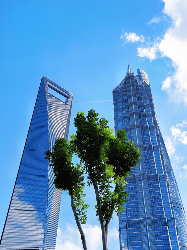 上海陸家嘴中心綠地｜邂逅一片治癒綠洲