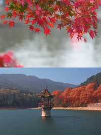 廬山很美，真心建議10-11月來，因為-