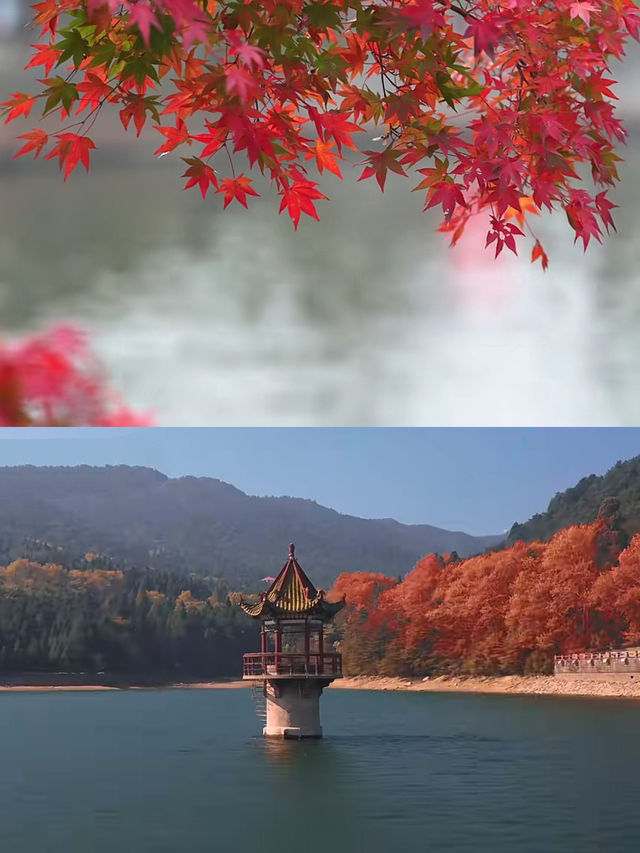 廬山很美，真心建議10-11月來，因為-