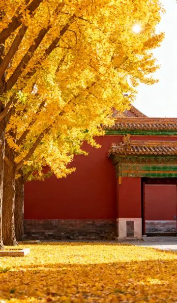 北平秋韻五日遊：從城央古建到京郊層林的詩意之旅