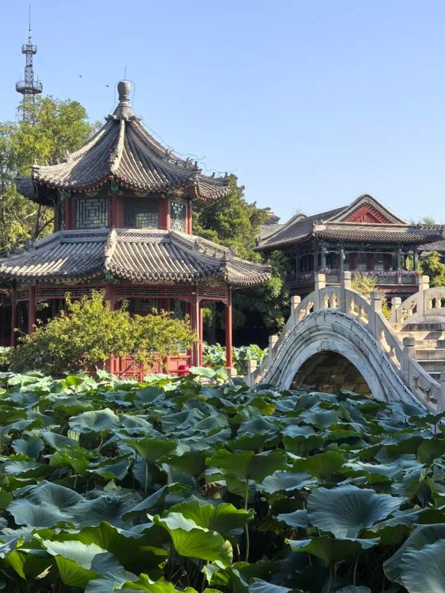 保定旅行攻略