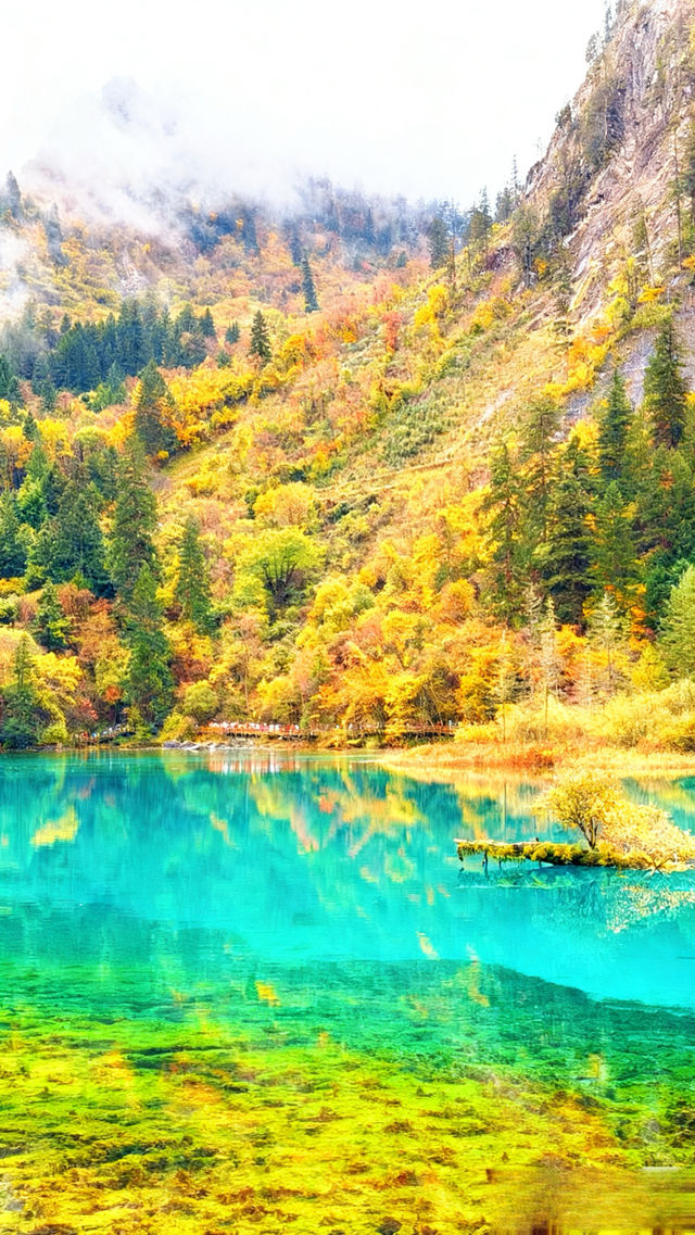 桂林陽朔旅行日記:在山水畫卷裡赴一場秋約 桂林陽朔旅行日記:在山水畫卷裡赴一場秋約