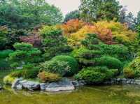Solo in a Hidden Vancouver Gem: The Momiji Garden at Hastings Park