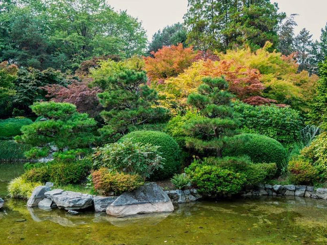 Solo in a Hidden Vancouver Gem: The Momiji Garden at Hastings Park