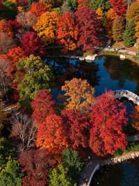 雲平山秋日仙境