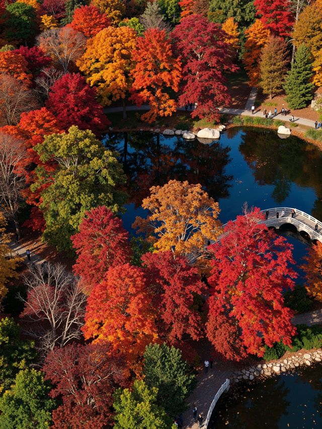 雲平山秋日仙境