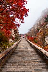 家庭遊好去處！山東日遊超高性價比